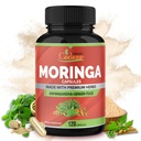Organic Cadane Moringa Powder Capsules, 4in1 with Ashwagandha, Ginger, Holy Basil Tulsi - Immune Support - Oleifera Leaf Powder Herb Supplements, 120 Capsules