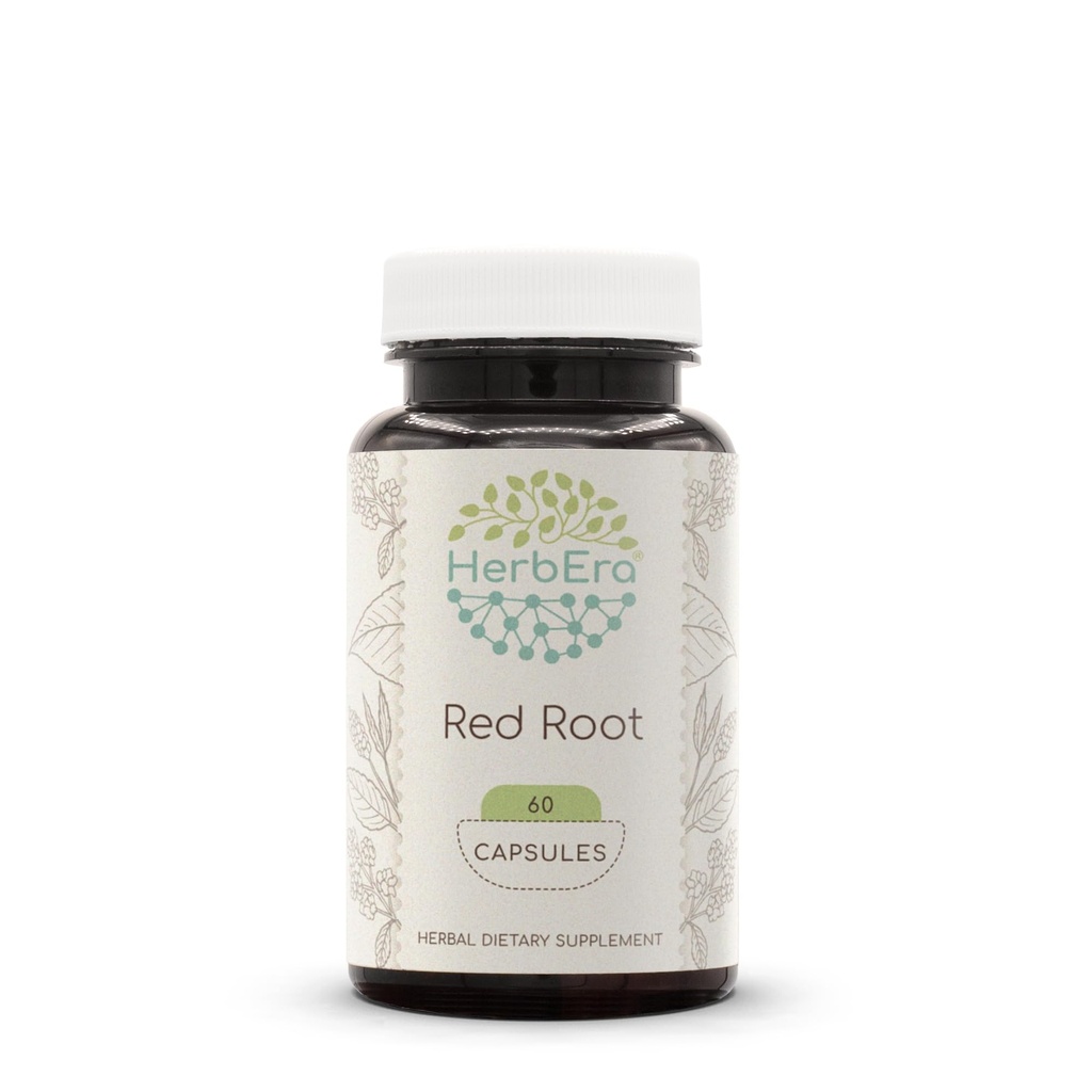 HerbEra Red Root 60 Capsules, 500 mg, Wildcrafted Red Root (Ceanothus Americanus) Dried Root (60 Capsules)