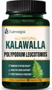 Kalawalla Root Kapsler, Polypodium Leucotomos Extract Support Support Immunsystem, Hud Sundhed, og Gratis Radicals Defense, varer 3 Måneder. 90 Antal