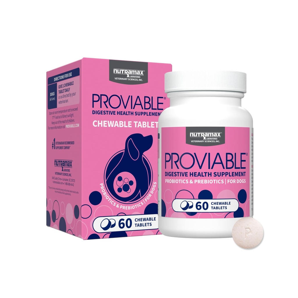 Nutramax Probiotika Probiotika til hunde, Daglig fordøjelsessygdom supplement med flere stader af bakterier, Hundeprobiotika Plus Prebiotika, 60 tyggetabletter
