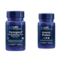 Life Extension Pycnogenol Fransk Maritime Pine Bark & Gotu Kola Arterial Health Kosttilskud - 60 & 30 Vegetariske kapsler