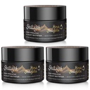Shilajit Pure Himalayan Organic Shilajit Resin - Gold Grade 100% Renhed Shilajit med Fulvic Acid & 85 + Trace Minerals Complex for Energy & Immune Support, Pack of 3 (6 Måneders Tilgang)
