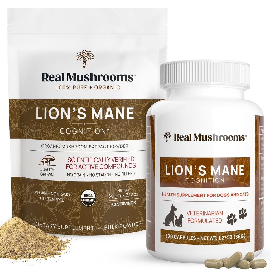 Ægte svampe Lions Mane for mennesker (60 Servere) og Kæledyr (120ct) - Pulver & Kapsler Bundle for Cognition & Immunity - Vegan, Non- GMO, Gluten- Free, Grain- Free Mushroom Extract Kosttilskud