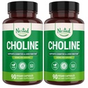 Nested Naturals Cholin Bitartrate 500mg - High Potence Cholin Supplements - Understøtter Maternal & Føtale Sundhed under graviditet * - 100% Vegan & Non- GMO - 2 - Pack (180 Vegan Kapsler)