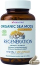 Sea Moss Capsules 1476mg - Organic Seamoss Pills Superfood med Irish Sea Moss, Bladderwrack & Burdock Root Budd124; 120 Veganske Kapsler til Vitality, Energi & Skin Support - Made in USA