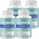 Probiotika for kvinder og mænd, 300 Millioner CFU 24 Strops Probiotika + 15 Økologiske urter Prebiotika Blend, Hylde Stabil Gut Health Supplement til fordøjelsesbesvær immunforsvar & Whole- Body Health, 8 Måned Supply