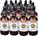 White Pine Liquid Extract, White Pine (Pinus Strobus) Bark Powder Tincture, Herbal Supplement, Hawaii Pharm, Lavet i USA, 15x4 fl.oz