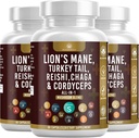 Mushroom supplement med løvens Mane Tyrkiet Tail Reishi Cordyceps Chaga Marshmallow Root - 180 Greve