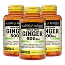 MASON NATURAL Whole Herb Ingefær 500 mg, 6 Måned Supply, Natural Herbal Supplement, 60 Kapsler (3 Pack)