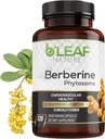 B 'Leaf Nature Berberine Phytosome, 120 Kapsler - 1100mg Berberine Supplement til Metabolisk og cardiovaskulær Support - Vegan, Gluten- fri, Non- GMO Berberine Phytosome Kapsler for immunwellness