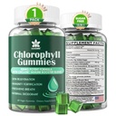 Chlorophyll Gummies - Super Green med hvedegræs, Sea Moss, Ufiltreret ACV & Elderberry, Echinacea, Zink Complex & Vitamin D3, C, E, B12 for naturlige deodorant, Immun & fordøjelsesstøtte, 60 tykkere