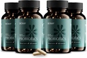 BIOMA Probiotika til vægthåndtering & fordøjelse, 3 i 1 Gut Health Probiotika og Prebiotika / Postbiotika, Slow Release Synbiotiske Probiotiske Kapsler til Gut Health Multi Enzyme (240 Caps)