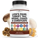 Lions Mane Mushroom Supplement med Tyrkiet Tail Reishi Cordyceps Chaga med Marshmallow Root - 1 -Pack