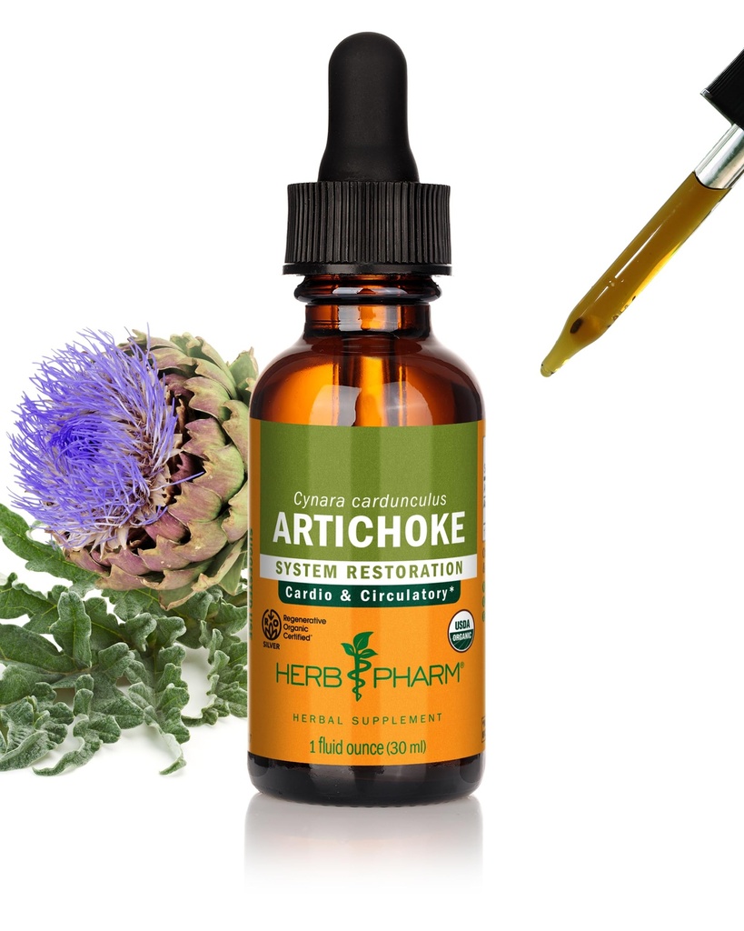 Herb Pharm Certified Organic Artichoke Liquid Extract for Cardiovaskulær og Circulatory Support - 1 Ounce