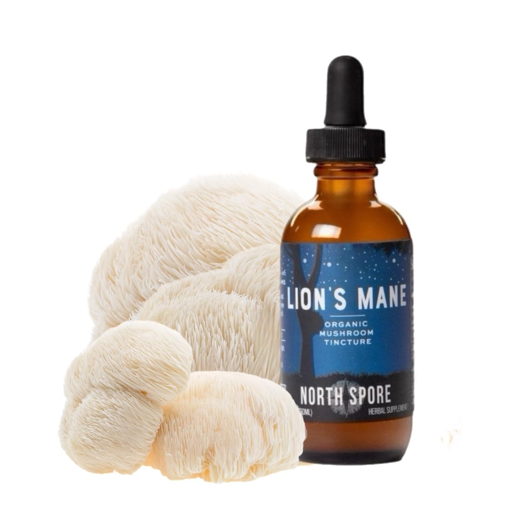 North Spore Organic Lions Mane Mushroom Tinktur (2 oz) - 124; 100% Fruiting Body Extracts 124; for Focus, Memory, Brain Support - 124; Certified Organic, Vegan, Non- GMO - 124; Adaptogen, Nootrope - 124; Fremstillet i USA