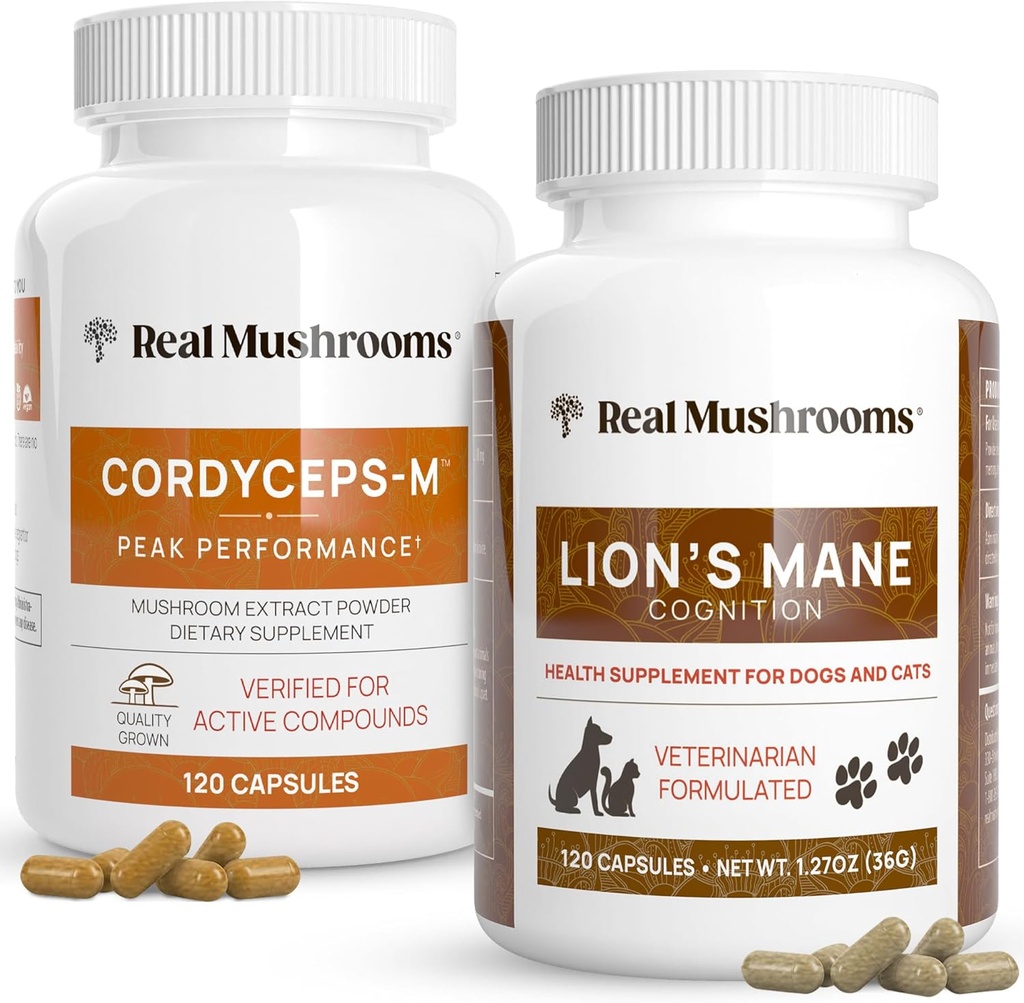 Rigtige svampe Cordyceps til mennesker (120ct) og Lions Mane til kæledyr (120ct) - Bundle for energi, Vitality & Cognition - Vegan, Non- GMO, Gluten- Free, Grain- Free Mushroom Extract Kosttilskud