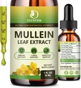 (2 Pack) 98% Absorption Mullein Drops til Lungs, Kraftfuld 5 i 1 Mullein Leaf Herbal Blend Extract, Natural Lungs Support Supplement til Lungs Cleanse & Detox og Respiratory Lung Sundhed