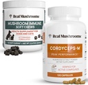 Rigtige svampe Cordyceps til mennesker (120ct) & Mushroom Immunpet Chews (60ct) - Bundle for Energy, Vitality & Immunity - Ashwagandha, Astragalus & Mere - Vegan, Non- GMO, Gluten- Free, Grain- Free
