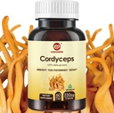 Cordyceps Kapsler, Mushroom Extract Pulver med 31% Beta Glucan for Performance, Energi og immunsystem Support, 700mg, 60 Greve, Økologisk og Vegan