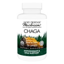 Værtsforsvar Chaga Kapsler - immunsystem Support - Chaga Mushroom Kapsler til Antioxidant Aktivitet Support - Kosttilskud - 120 Kapsler (60 Servere) *