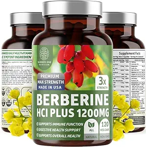Nummer et ernæring N1N Premium Berberine Plus 120 Caps, 1200mg, Naturligt supplement understøtter Anti- Aging, Cellular Sundhed, Energi og fordøjelse