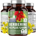 Nummer et ernæring N1N Premium Berberine Plus 120 Caps, 1200mg, Naturligt supplement understøtter Anti- Aging, Cellular Sundhed, Energi og fordøjelse