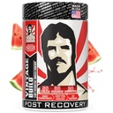 Vintage Build - Post Workout Recovery & Muscle Building Powder Drikke til Muscular Strength & Growth - Reducerer ømhed - Creatinine Monohydrat, BCAA, L- Glutamin - Juicy Watermelon Flavor - 388g