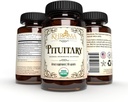 Organic Pituitary Blend - 60 Veganske kapsler i en glasflaske - for maksimal pituitary support - af Khroma urter