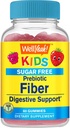 WellYes Sugar Free Fiber Gummies for Kids (4g)