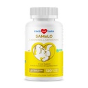 Samme for hunde - 120 tyggetabletter - S- Adenosyl- L- methionin, lever supplement - hjerne sundhed, fremmer kognitiv støtte, lever støtte (samme tablet)