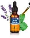Herb Pharm Angst Soother Liquid Herbal Formel med Kava For Nervesystemet Support - 1 Ounce
