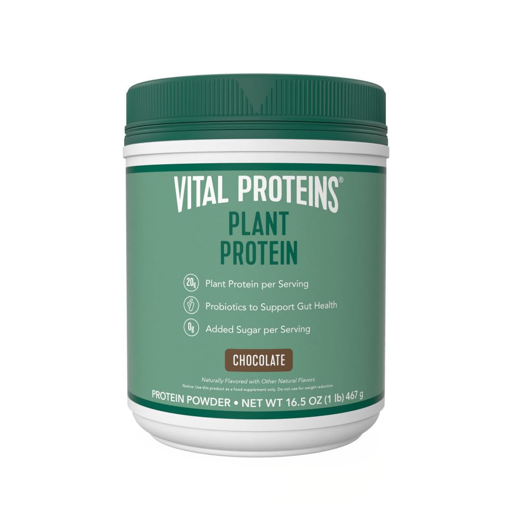 Vital Proteins Protein Powder - 20g Plant Based Protein with Chickpea - 1B CFU Probiotic for Gut Health, No Added Sugar - Chocolate, 16,5 oz