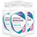 Berberine HCL Supplement 1500mg - Høj biotilgængelighed Liposomal Berberine kapsler til kvinder og mænd, AMPK Activator for cardiovaskulær sundhed, sukkerfri, non-GMO, 180 Softgels