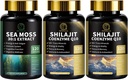 Sea Moss og Shilajit kapsler til mænd og kvinder, Alle i 1 Kosttilskud med Shilajit, Sea Moss, Coenzym Q10, Black Seed, Ashwagandha, Burdock for Energy, Antioxidant & immunforsvar