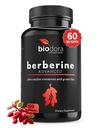 Berberine Advanced Plus med 1200mg Berberine - 100mg Ceylon Cinnamon og 100mg Green Tea Extract - 1400mg per dosis - 120 kapsler - 60 dages forsyning - understøtter immunforsvar og kardiovaskulær