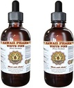 Hvid Pine Liquid Extract, Hvid Pine (Pinus Strobus) Bark Powder Tincture, Urte Supplement, Hawaii Pharm, Lavet i USA, 2x4 fl.oz