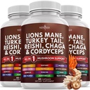 NYE ALDER Løver Mane Mushroom tillæg med Tyrkiet Tail Reishi Cordyceps Chaga med Marshmallow Root 180 Greve