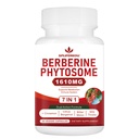 7-in-1 Berberine Phytosome med Ceylon Cinnamon, Berberine Complex understøtter metaboliske, lever funktion og immunsystem, non-GMO, glutenfri - 60 kapsler