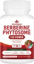 7-in-1 Berberine Phytosome med Ceylon Cinnamon, Berberine Complex understøtter metaboliske, lever funktion og immunsystem, non-GMO, glutenfri - 60 kapsler