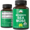 Organic Sea Moss Capsules. Wild Hartered Sea Moss Raw Organic Vegan Supplement fra Red Algae Seaweed. 100% hel ekstrakt Raw Irish SeaMoss Superfood Pills.