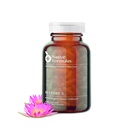 Native Formulas Gendanne 3 Proteolytic Enzyme & Spore Probiotic Blend Supplement - 60 Kapsler - Avanceret Biofilamenter Disruption Aid - Support GI Health, Fibromyalgi, Gut Flora, Muscle