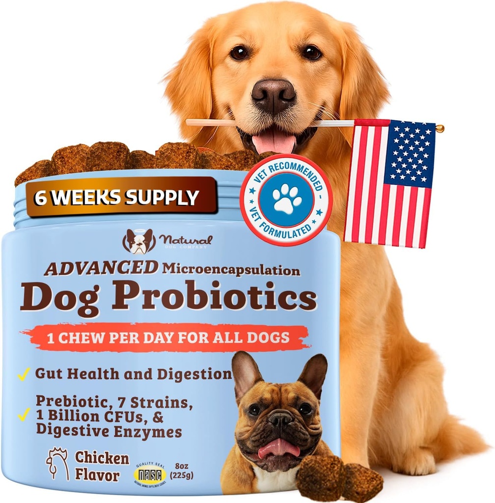Natural Dog Company Gut Health & Canine Specifik Probiotika Chews, 1 Daglig Tyg for alle hunde, Prebiotika & fordøjelsesenzymer til fordøjelse, Gas, Loose Afføring, immunsystem og tarmstøtte