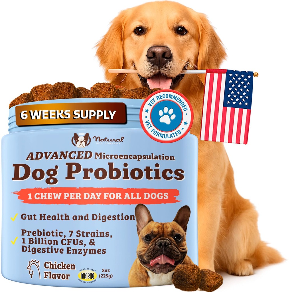 Natural Dog Company Gut Health & Canine Specifik Probiotika Chews, 1 Daglig Tyg for alle hunde, Prebiotika & fordøjelsesenzymer til fordøjelse, Gas, Loose Afføring, immunsystem og tarmstøtte