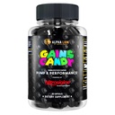 ALFA LION Gains Candy, supplement piller til muskel pumpe & blodgennemstrømning, nitrogenoxid booster, understøtter Mental Focus, Brug dagligt til at opgradere workout ydeevne, 63 kapsler (Nitrosigine)