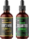 HERBIFY Bundle - Lions Mane Drops & Cilantro Tinktur - Brain Boost & Body Detox