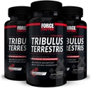 FORCE FACTOR Tribulus Terrestris til mænd, 3- Pack, Tribulus Testosteron Booster til mænd, mandlige vitalitet supplement, Tribulus ekstrakt & naturlige ingredienser til Superior Absorption, 1000mg, 180 kapsler