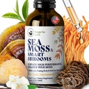 HAPPY FOX Irish Sea Moss Liquid Drops & Mushroom Tinktur - Seamoss med 7 Adaptogen Mushroom Ekstrakter til Kognitiv Support & Gut Sundhed, Svampe Kaffe Elixir, Pure Vanilla Flavor