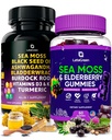 Sea Moss Capsules + Gummies Bundle, 60 Irish Sea Moss Gummies + 120 Ocean Wild SeaMoss Capsules med vitaminer og mineraler