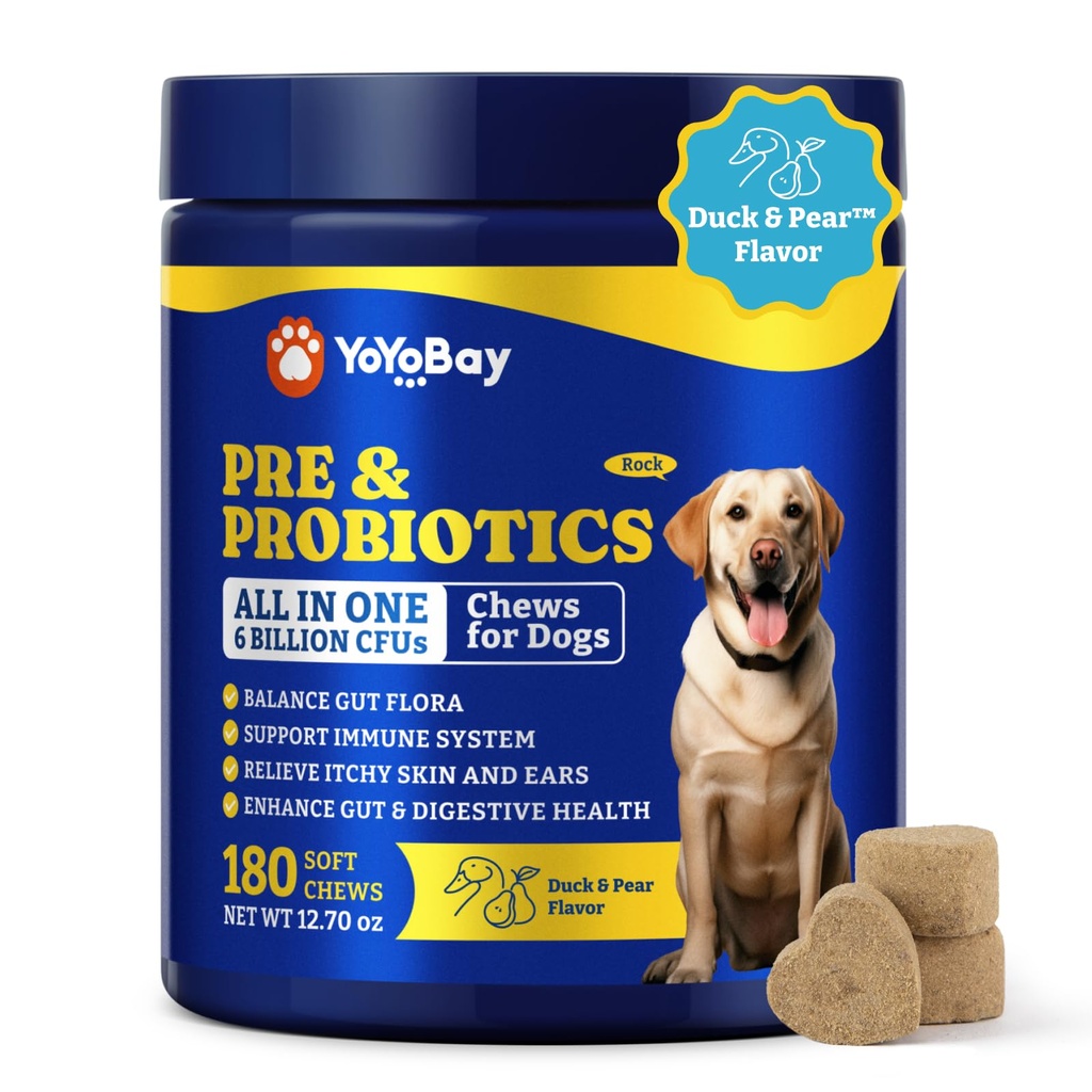 Probiotika til hunde - Hundeprobiotika til fordøjelsessygdomme, Gær, Itchy Skin, Gut Health, Immunsystemet & Hud - 6 milliarder CFU 'er, 180 bløde tykkere, And & Pære Flavor - med Prebiotika & fordøjelsesenzymer