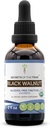 Secrets of the Tribe Black Walnut USDA Organic Mezzogiorno 124; Alkohol- Free Extract, High- Potency Herbal Drops Mezzogiorno 124; Lavet af 100% Certified Organic Black Walnut (Juglans Nigra) Tørret Hull 2 oz